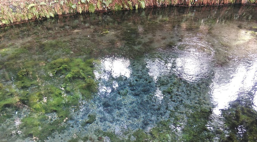 💧 요시다 성 헌상급장 (요시다조 고켄조 쿠미바) 이미지 3